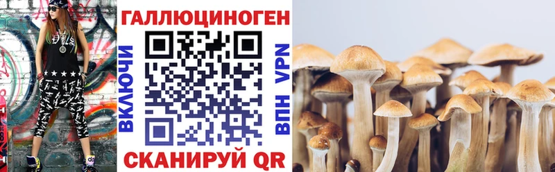 где можно купить   Туран  Галлюциногенные грибы мицелий 